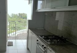 11 Amber Road (D15), Apartment #391843271